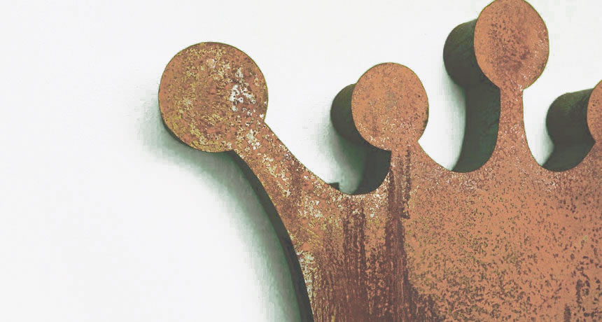 About {COMPANY_NAME}}, Crewe Accountants